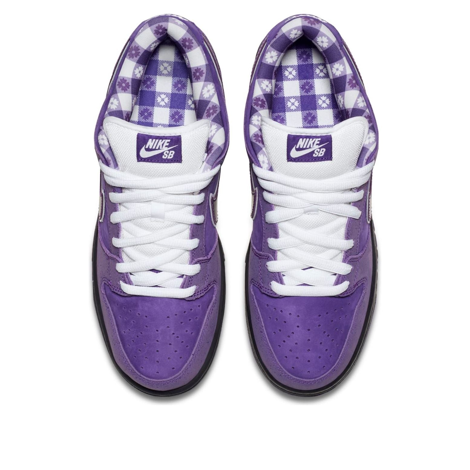 Nike X Concepts SB Dunk Low ‘Purple Lobster’